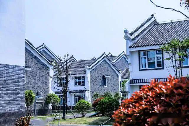 到黄陂东风新村,看武汉最美新农村是什么样的