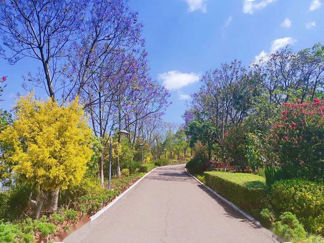 走过柴家山 走过聂耳东路 走过玉湖路 走过玉溪一中对面河滨公园