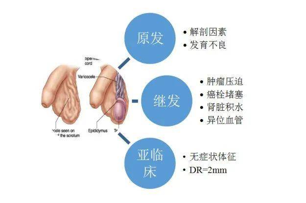 新技术 