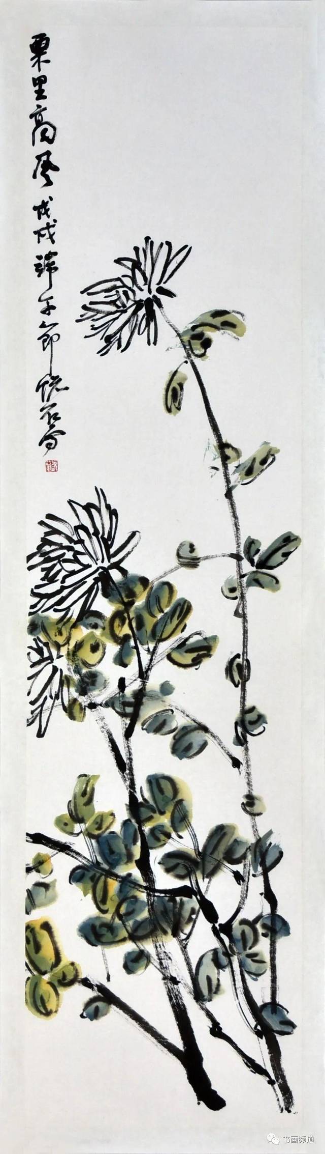 吴悦石菊花图片