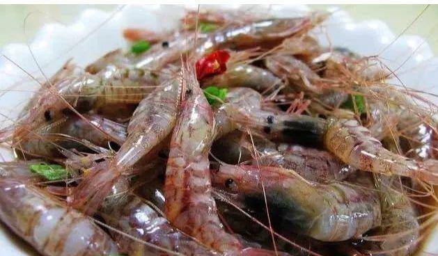 人气海鲜——红毛虾