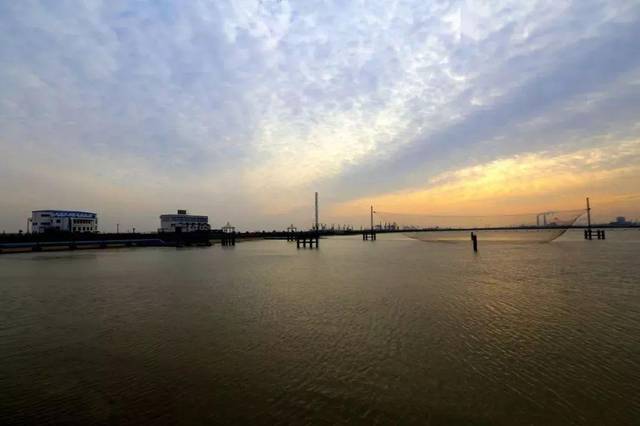 宝钢水库 ▼陈行水库