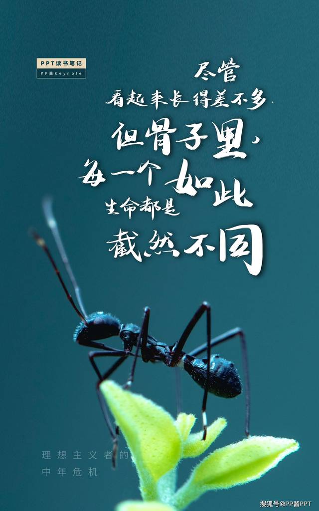 生命不息,折腾不止丨老罗式金句,永远值得再看一遍(ppt版)