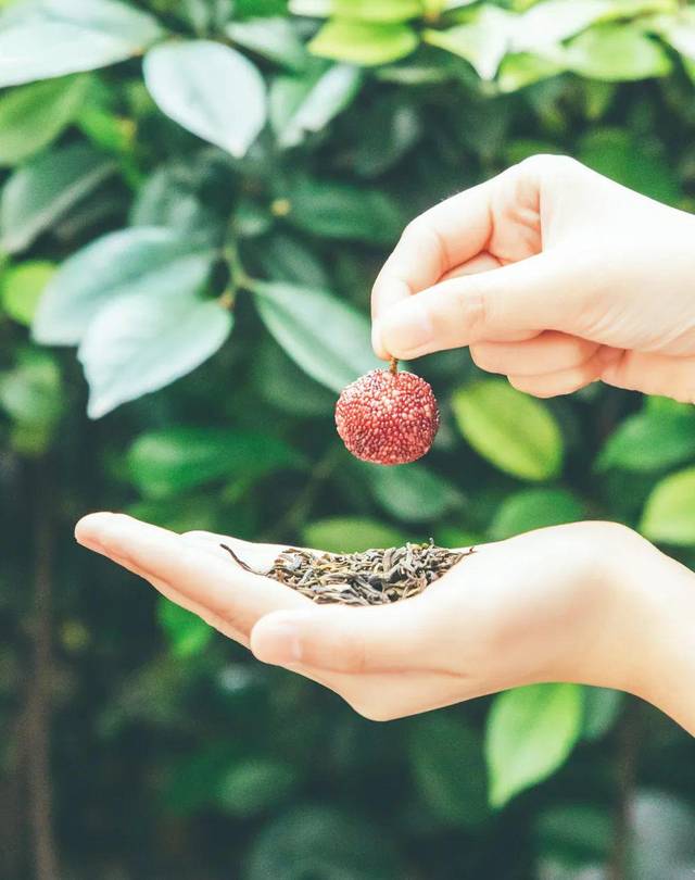 五年经典,霸气回归,「霸气杨梅」重出江湖啦!