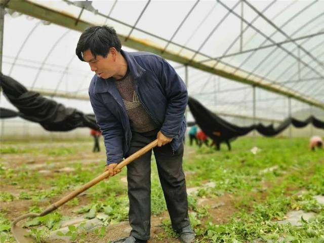 走乡村看脱贫·玉兰村 | 勤劳双手开启幸福生活_手机搜狐网