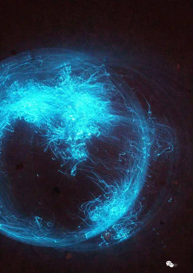 慢速镜头记录下培养皿中的pyrocystis fusiformis发光海藻,刺激试验后