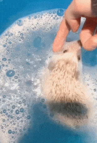 310_457竖版 竖屏gif 动态图 动图