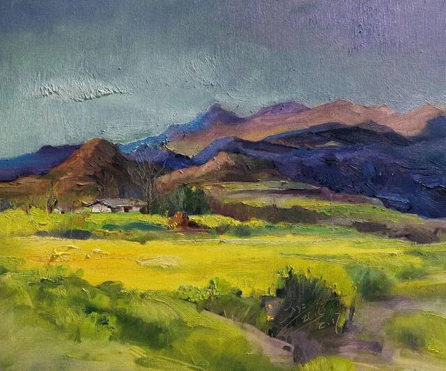 罗平县美术家协会万红美术作品网络展