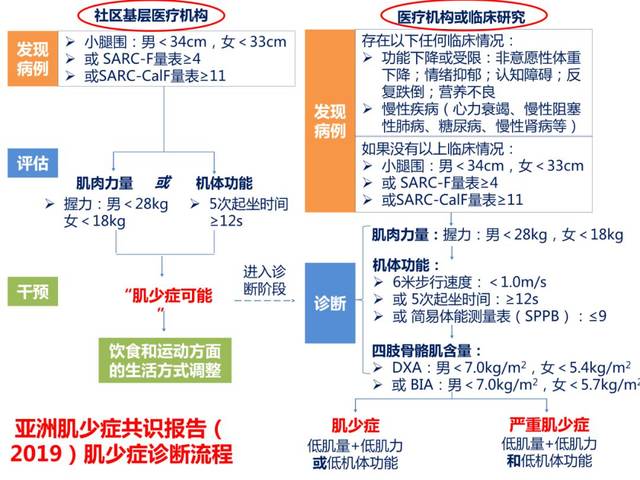 【课件】亚洲肌少症共识报告(2019)及生物电阻抗技术的临床应用