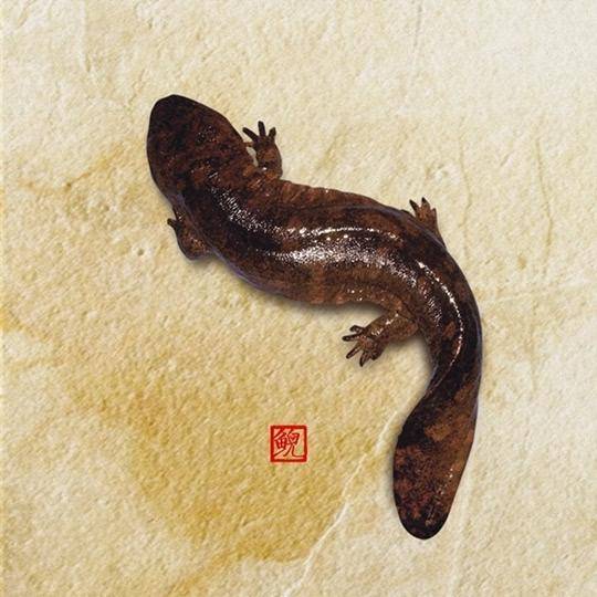 确认了!棘龙成为唯一会游泳的恐龙,成为水陆两栖的白垩纪霸主