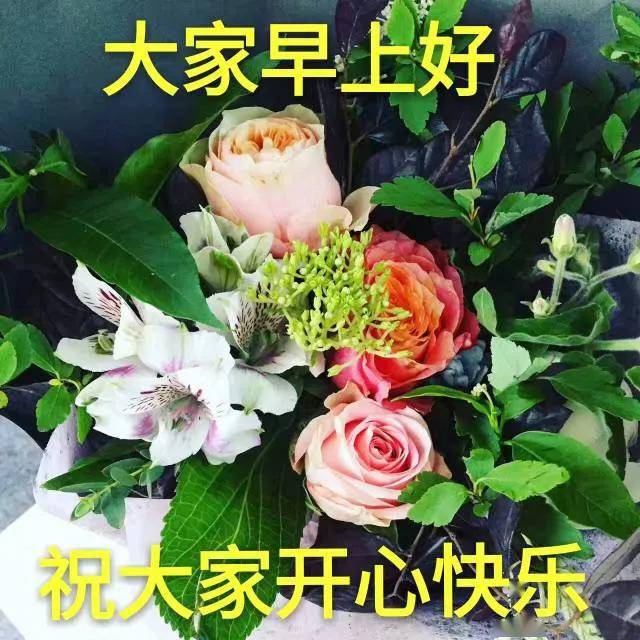4张春暖花开早安图片带字,唯美的微信朋友圈早上好图片带祝福语