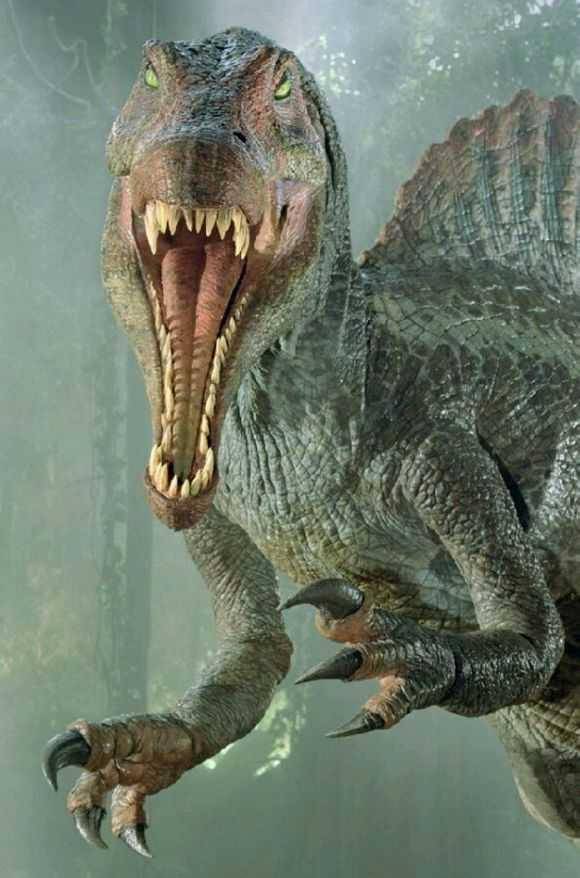 确认了!棘龙成为唯一会游泳的恐龙,成为水陆两栖的白垩纪霸主
