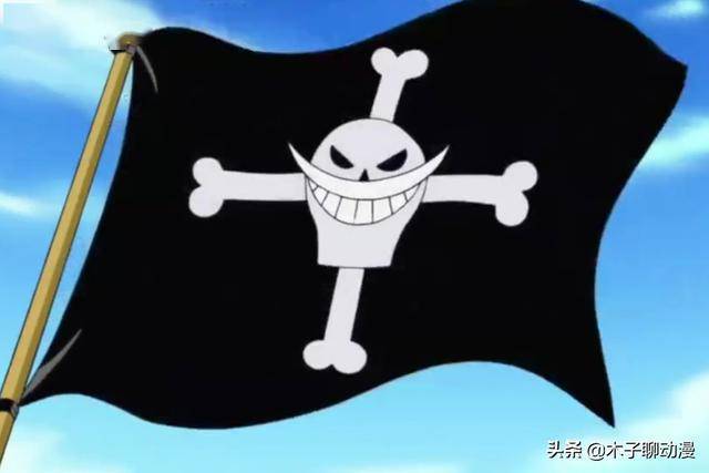 在《海贼王》中有着数不清的海贼团,每个团队都有他们独有的旗帜