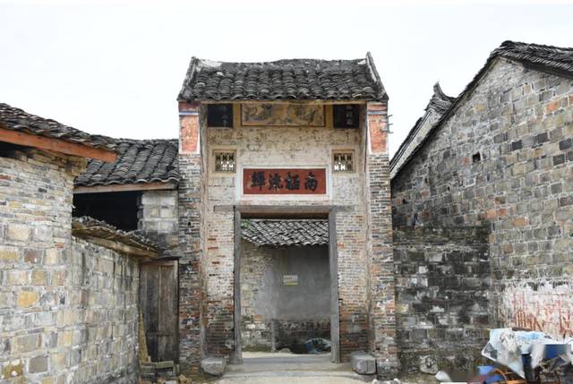 柳城境内的古砦仫佬族乡古民居,枫树林,古砦大户稻花飘香现代粮食