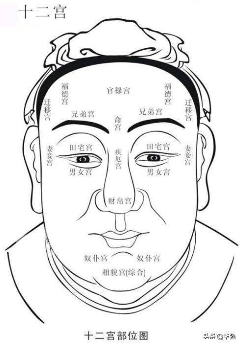 面相金甲位置图片