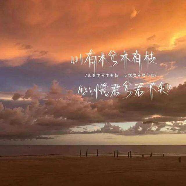 简单却有深度的句子:生活原本沉闷,但跑起来就会有风_手机搜狐网