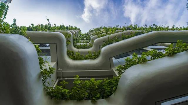 新加坡式花园医院?中山八院是这样诠释的