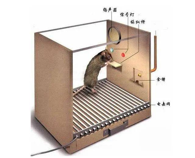 skinner,发明了一个实验装置斯金纳箱(skinner box),来研究老鼠怎么对