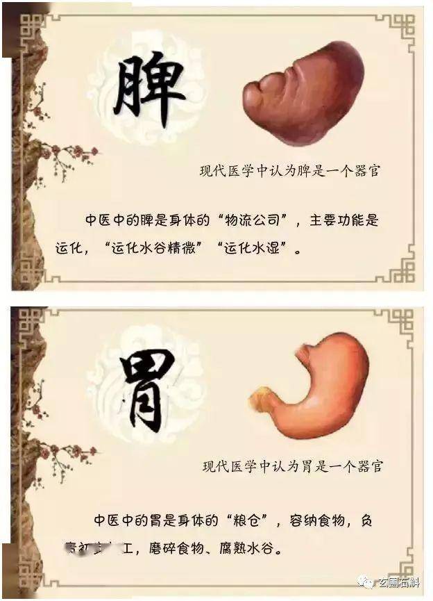 十人九胃 | 一招解決你的老胃病