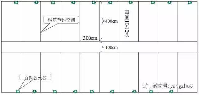 育肥猪猪圈建筑俯视图