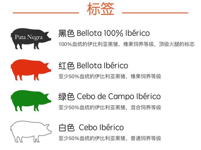 看着很复杂,不过我总结一下: 西班牙火腿质量等级和价格通常是按以下