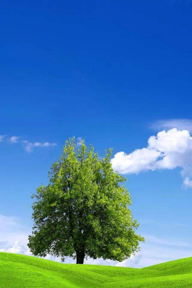 情感语录短句:励志句子,阳光正能量