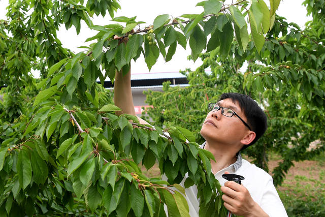 在郸城县万丰源种植专业合作社,王文一驾驶电动三轮车