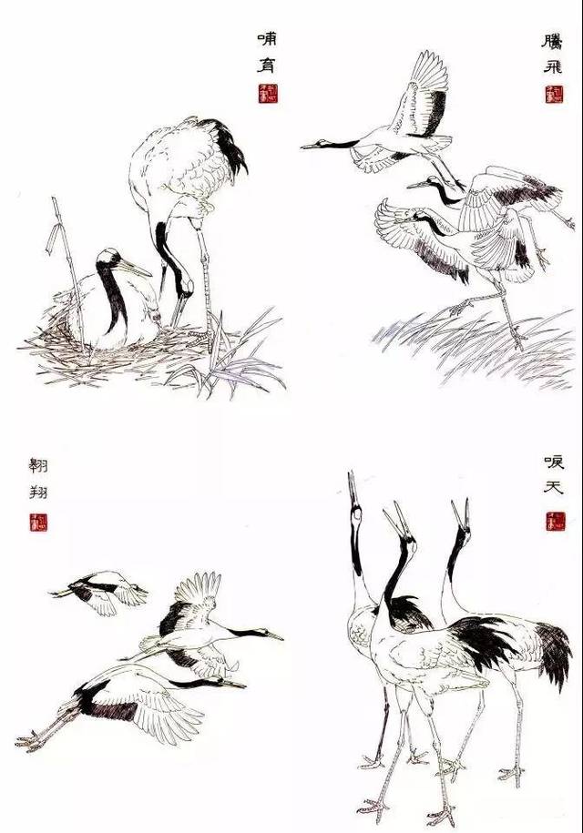 传统仙鹤画法讲解及步骤_搜狐网