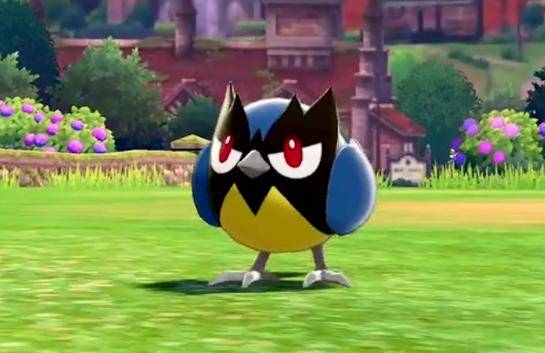 现在来说说稚山雀的相关细节以及来源,从外表上可以看