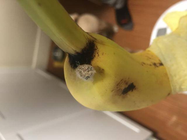 英国女子买香蕉,打开后发现蜘蛛,她长了个心眼,救了自己一命_手机搜狐