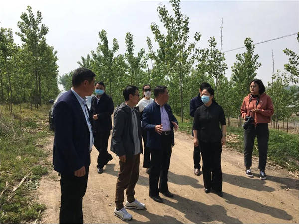 淮安清江浦区委副书记,区级副总河长王娟开展巡河工作_手机搜狐网