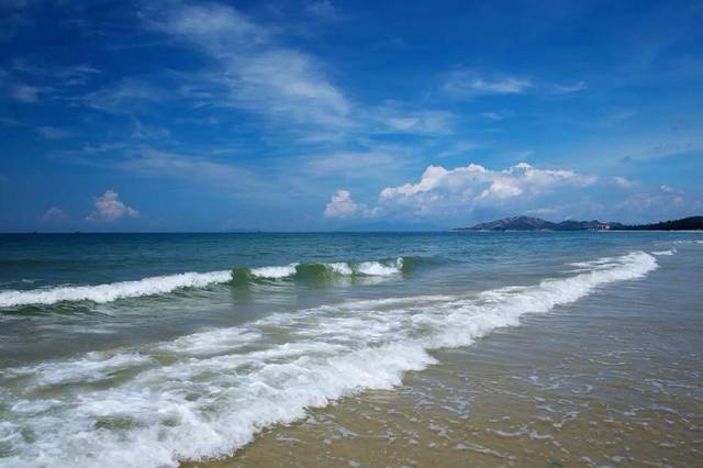 专访| 惠州文广旅体局局长钟亮:一场直播撬动2000多万旅游消费