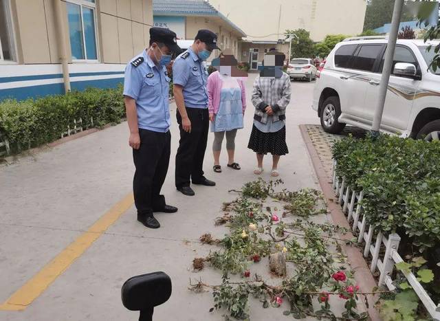 两女子用铁锨正在盗挖绿化带内种植的月季,遂依法将两人传唤至派出所