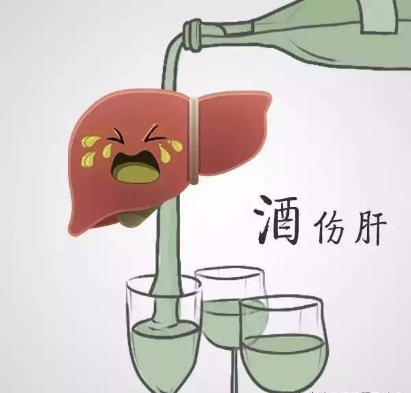 经常适量饮酒,有益身体健康?哈佛11万人研究,终于给出了答案