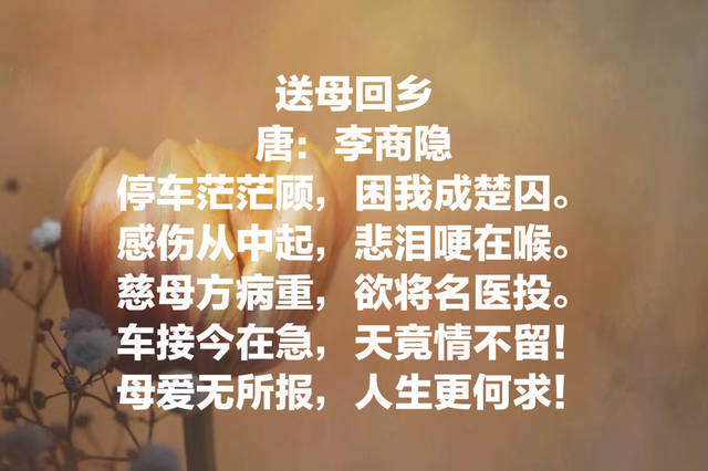 原创今日母亲节:欣赏十首关于母亲的古诗,感受诗中对母亲的浓浓爱意