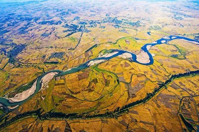 江苏:顾前 吴晨骏 山东:阿占 韩加君 湖北:谷未黄 四川:李贵平 黑龙江