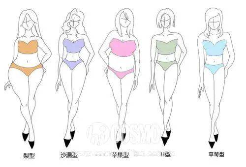 女人的身材有五种图片