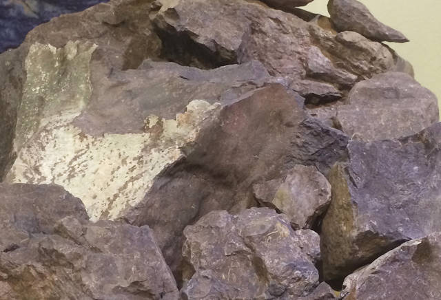 常见的紫砂矿长什么样,可别闹笑话!