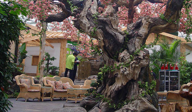 仿真古树制作方法及仿真古树制作过程