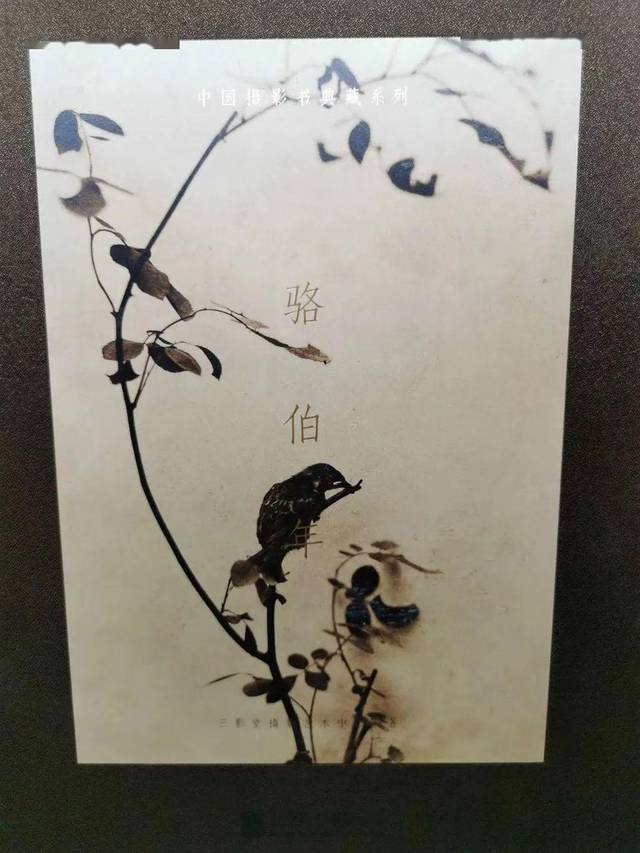 中国摄影书典藏系列 骆伯年