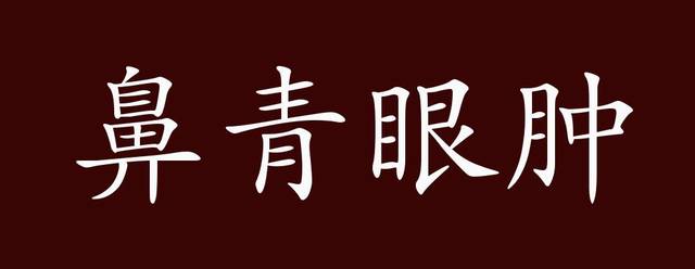 鼻青眼肿的出处,释义,典故,近反义词及例句用法 - 成语知识_手机搜狐