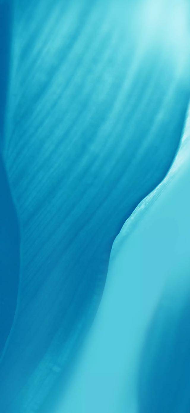 福利:魅族17原生手机壁纸 掌声之后 能比小米还叫座吗?