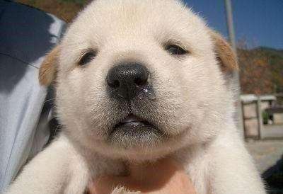 单侧鼻孔流透明鼻涕,说明病源在鼻腔