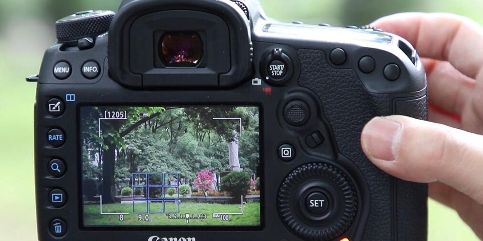 佳能5d4设置视频教程四:测光与对焦的实战演示