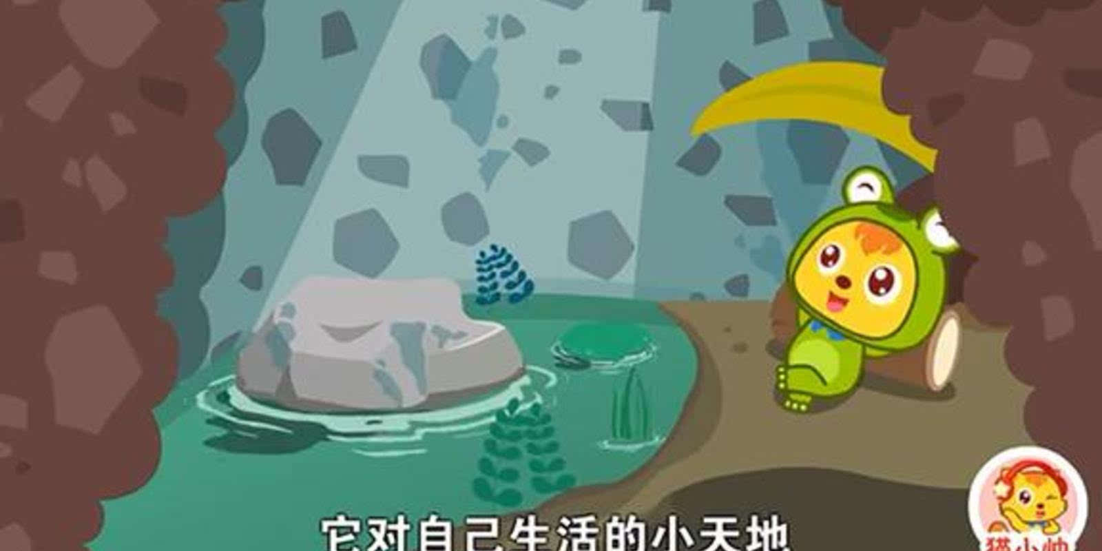 猫小帅故事:小青蛙生活在井里,以为井底之大,直到遇见小乌龟