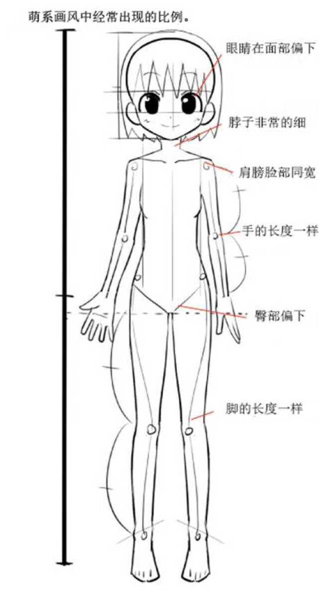 画动漫人物教程 动漫人体比例怎么画?