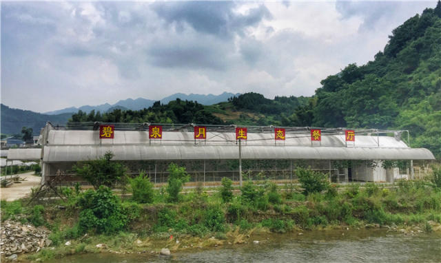 长沙宁乡碧泉月生态农庄
