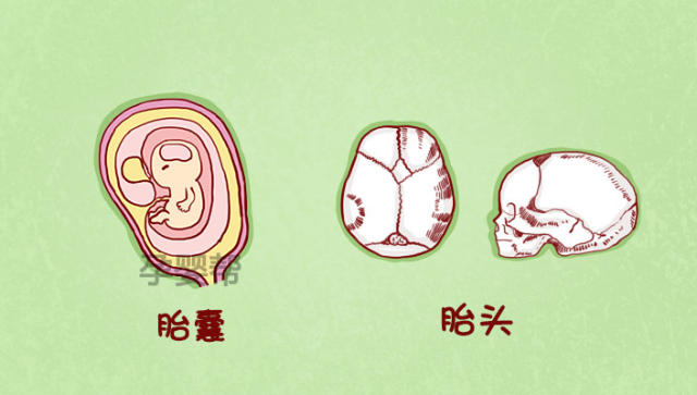 1分钟教你看懂b超检查单!