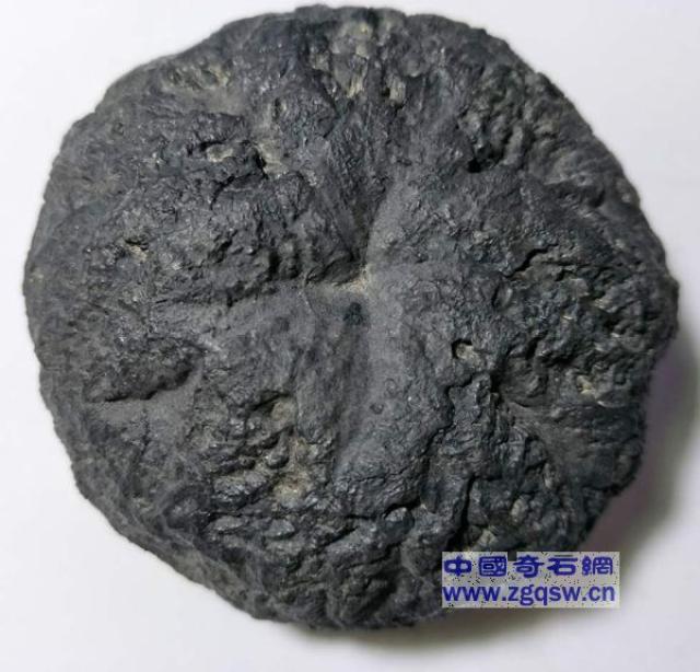 关于雷击石【闪电岩的探讨】