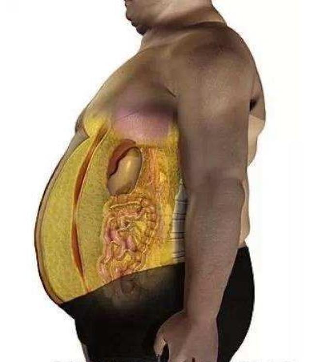 人的脂肪是什么样子的图片
